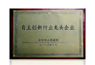 自主创新行业龙头企业