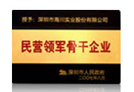 民营领军骨干企业