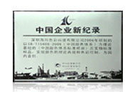 中国企业新记录