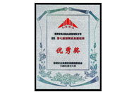 "深圳企业新纪录"优秀家奖