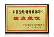 广东省先进制造业标准化试点