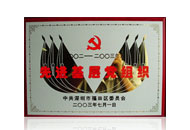 先进基层党组织