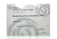 保护性涂料协会