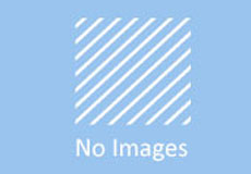 聚丙烯晴纤维的相关介绍